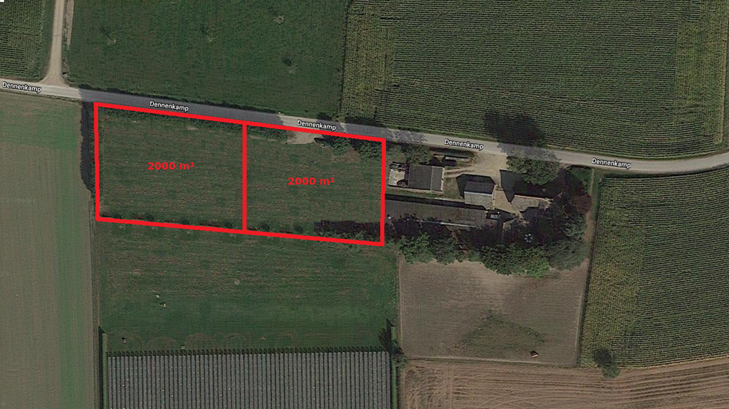 Te koop: Dennenkamp 1nabij, 6561 KZ Groesbeek hoofdfoto groesbeek, dennenkamp 1